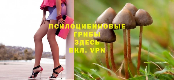 стафф Коряжма
