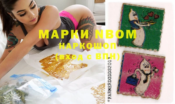 ГАЛЛЮЦИНОГЕННЫЕ ГРИБЫ Корсаков