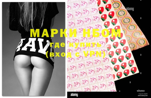 стафф Коряжма