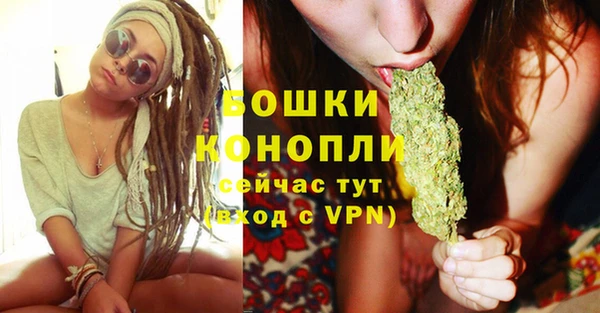 стафф Коряжма