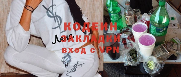 ГАЛЛЮЦИНОГЕННЫЕ ГРИБЫ Корсаков