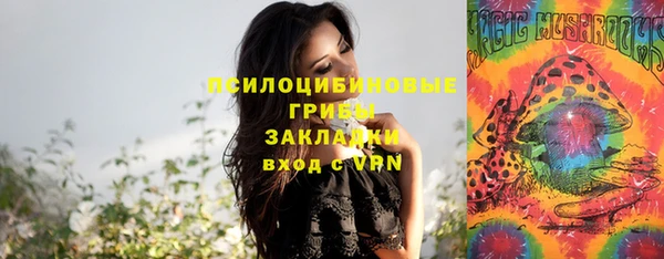 ГАЛЛЮЦИНОГЕННЫЕ ГРИБЫ Корсаков