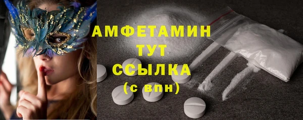 ГАЛЛЮЦИНОГЕННЫЕ ГРИБЫ Корсаков
