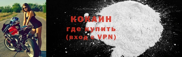 ГАЛЛЮЦИНОГЕННЫЕ ГРИБЫ Корсаков