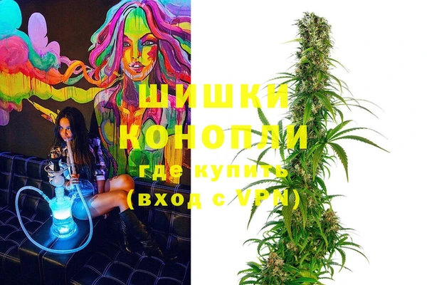 стафф Коряжма