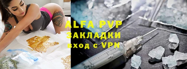 ГАЛЛЮЦИНОГЕННЫЕ ГРИБЫ Корсаков