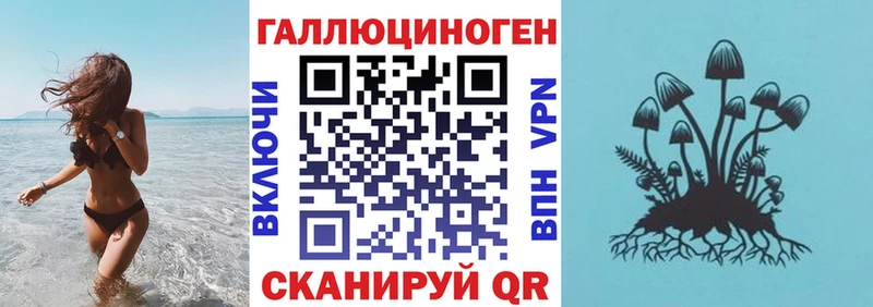 Купить закладки  Ликино-Дулёво  Псилоцибиновые грибы Cubensis 